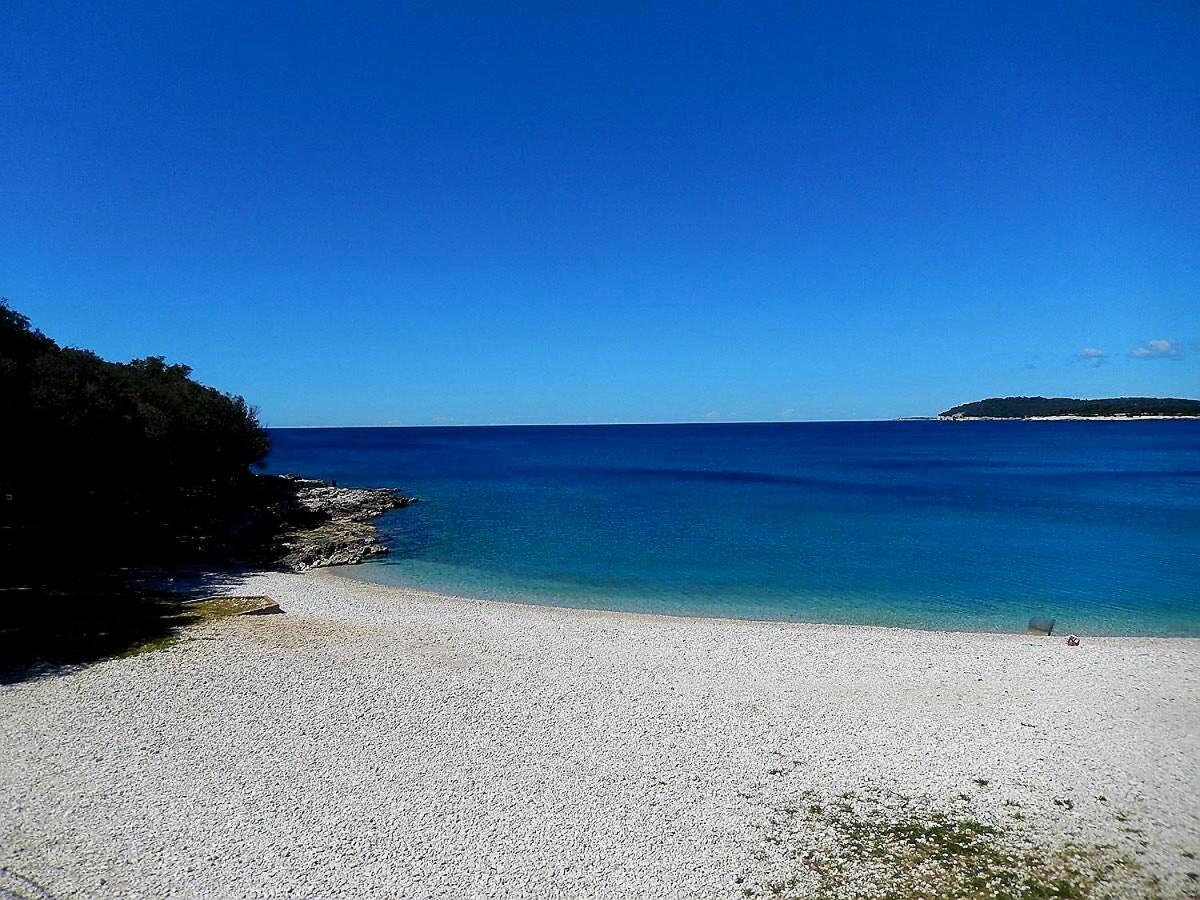 Mon Cheri-located In A Quiet Neighbourhood Near Beaches Free Parking *