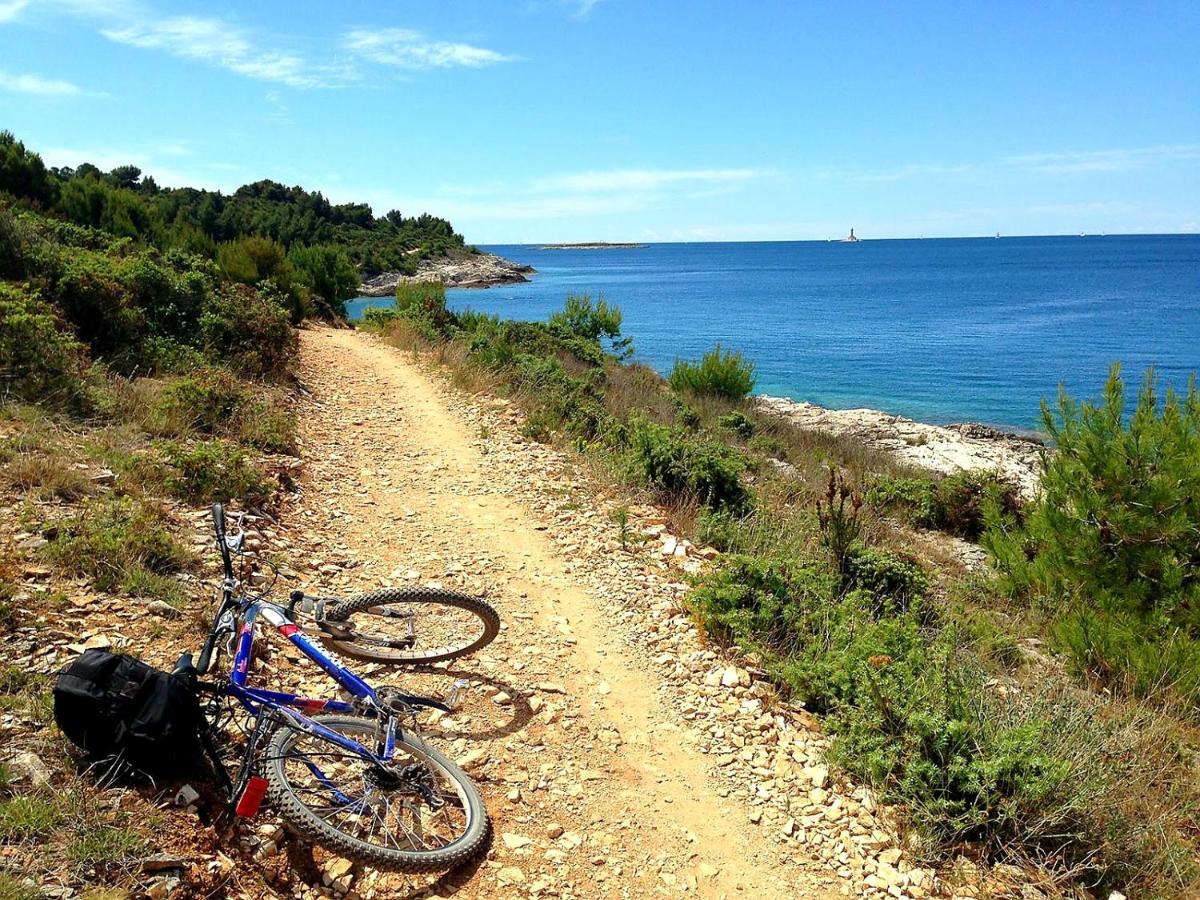 Mon Cheri-located In A Quiet Neighbourhood Near Beaches Free Parking *