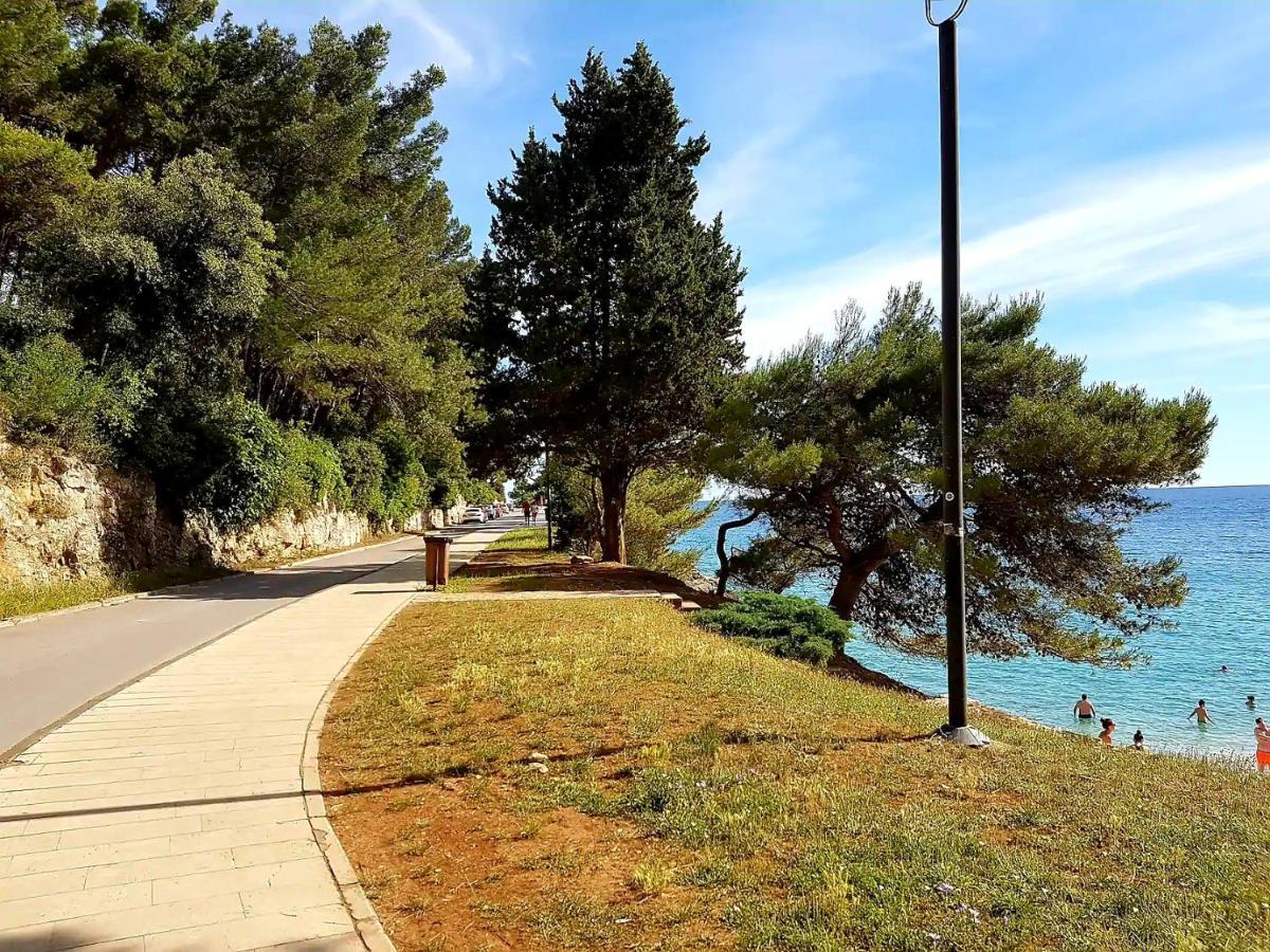 Mon Cheri-located In A Quiet Neighbourhood Near Beaches Free Parking *